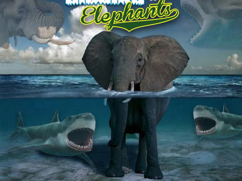 Sharks & Elephants