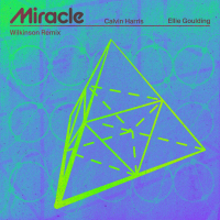 Miracle (Wilkinson Remix) (Single)