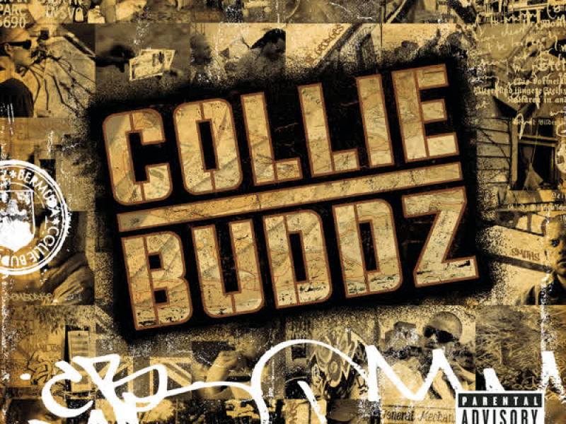 Collie Buddz