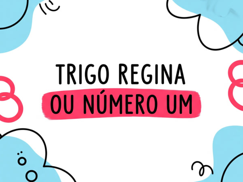 Trigo Regina ou Número Um (Single)