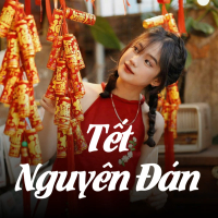 Tết Nguyên Đán (Lofi Meme) (Single)