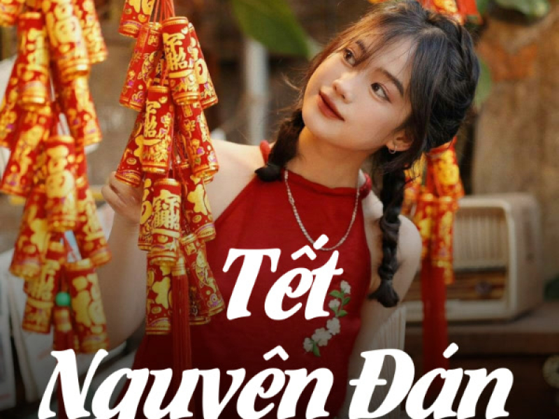 Tết Nguyên Đán (Lofi Meme) (Single)