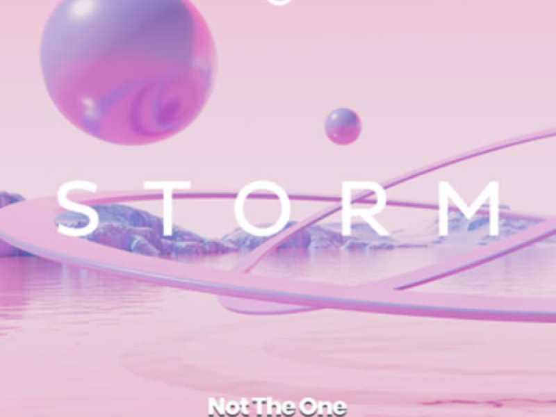 Not the One (Single)