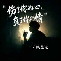 伤了你的心，负了你的情 (Single)
