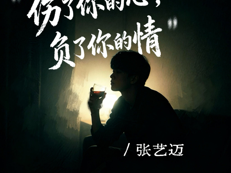 伤了你的心，负了你的情 (Single)