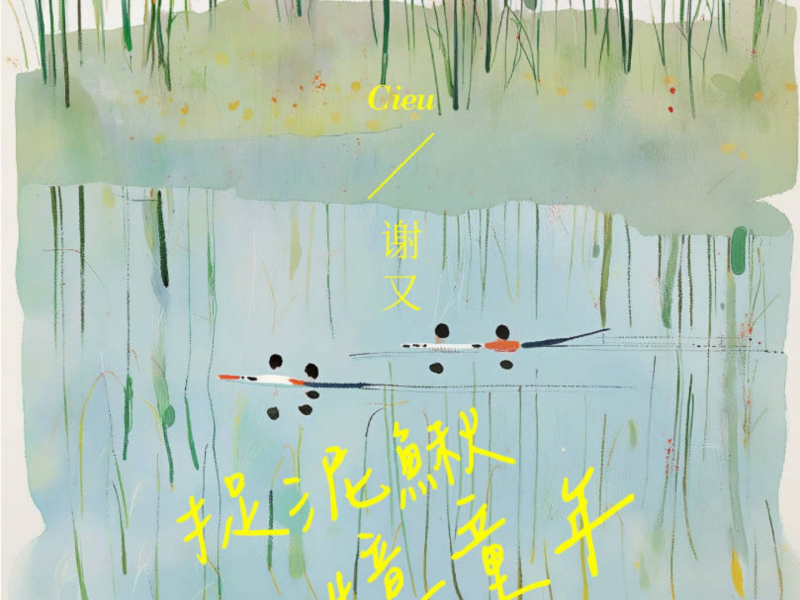 捉泥鳅，忆童年 (Single)