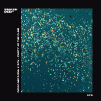 Party at the Club (Single)