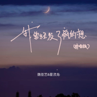 我曾经发了疯的想 (对唱版) (Single)