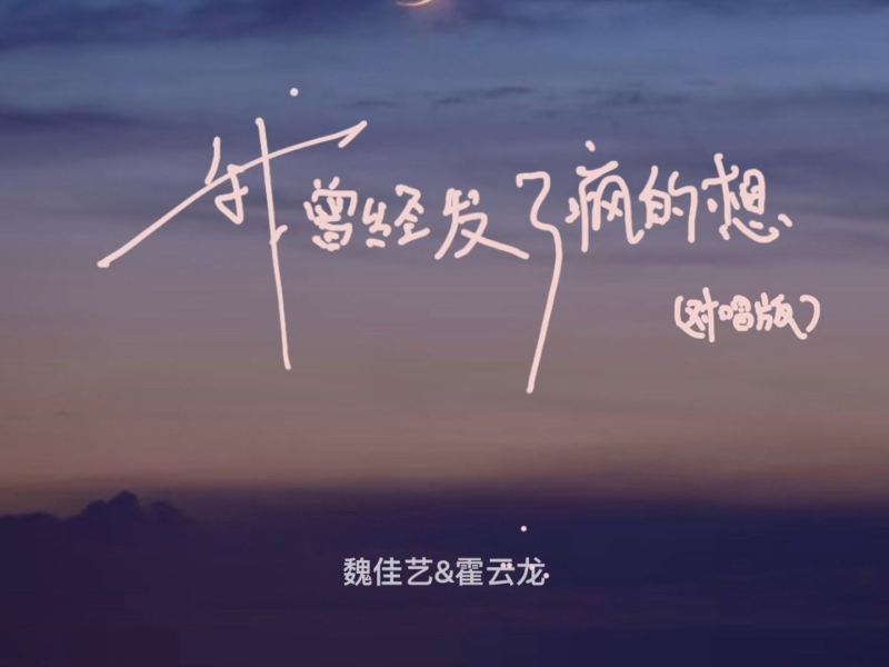 我曾经发了疯的想 (对唱版) (Single)