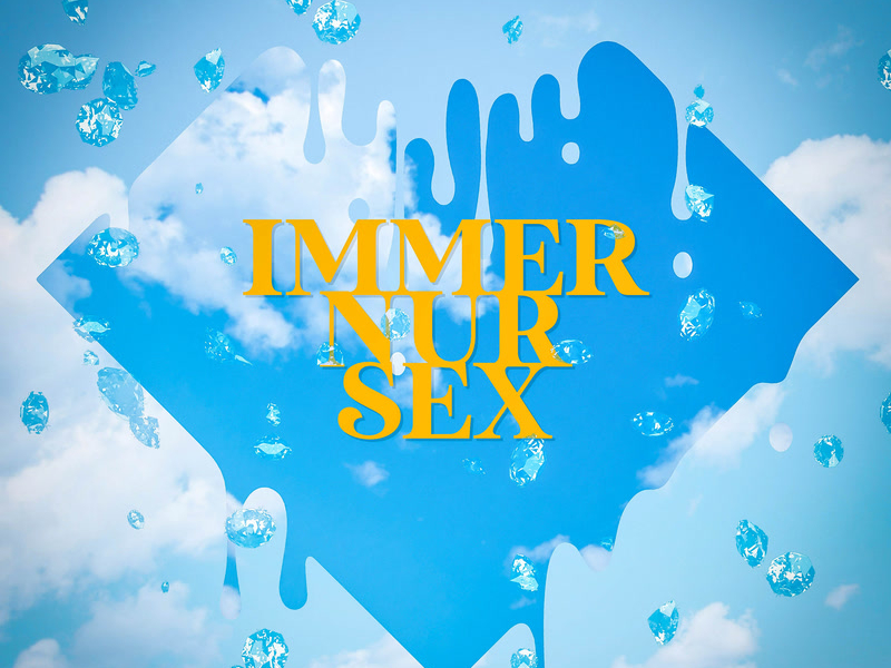 Immer nur Sex (Single)