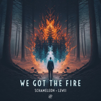 We Got The Fire (Single)
