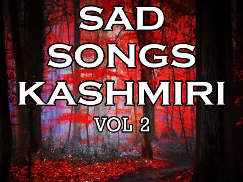 Sad Songs - Kashmiri Vol-2