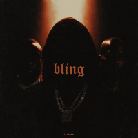 BLING (feat. Rick Ross & DMX) (Single)