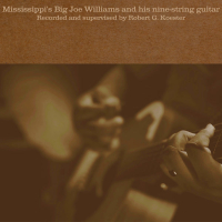 Mississippi's Big Joe Williams and His Nine-String Guitar