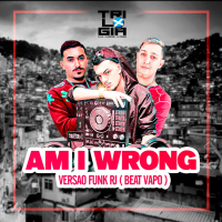 AM I WRONG VS FUNK RJ (Single)