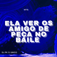 ELA VER OS AMIGO DE PEÇA NO BAILE (Single)