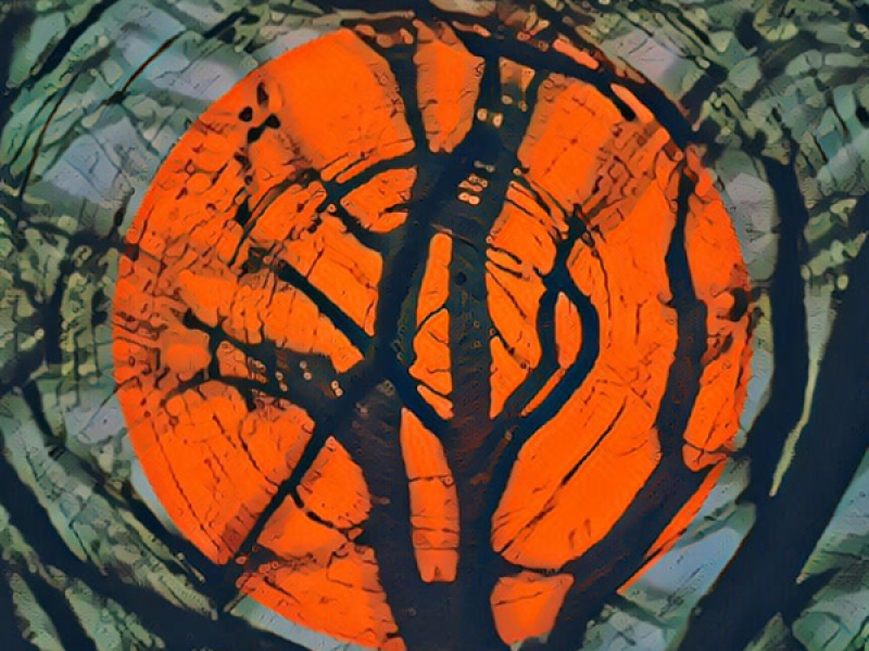 rearranged dreams (Single)