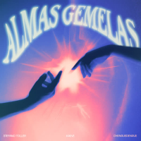 ALMAS GEMELAS (Single)