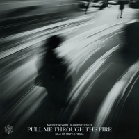 Pull Me Through The Fire (Dice Of Nights Remix) (Single)