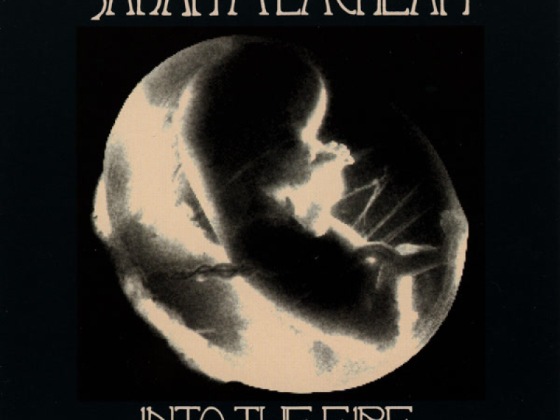 Into The Fire (Single)