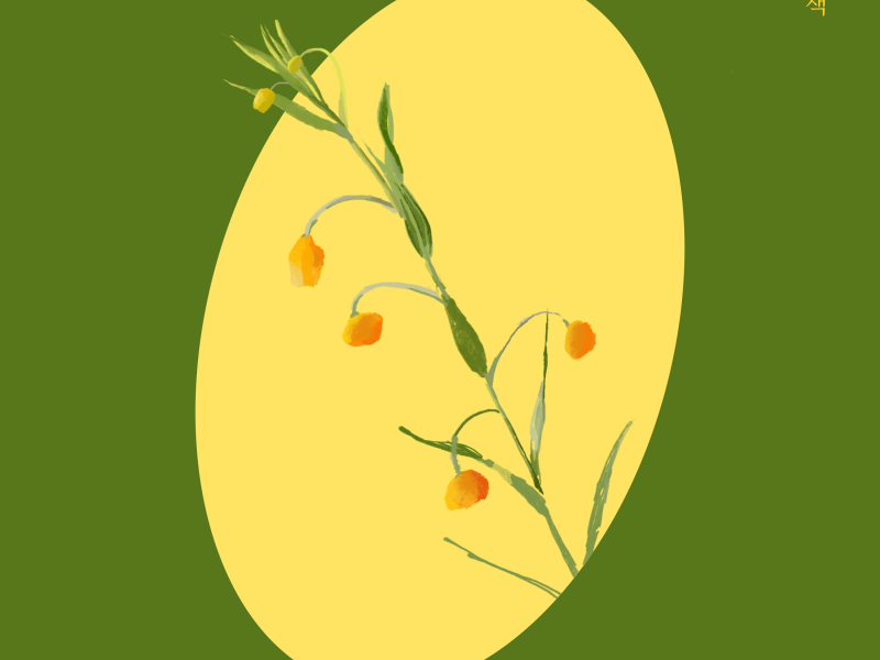 Pride And Prejudice (Single)