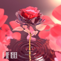If We Never (Single)