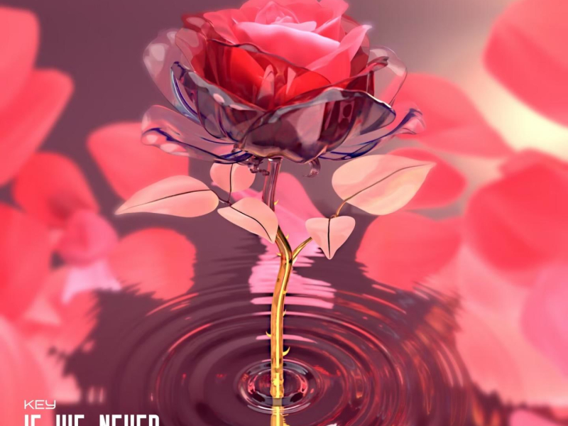 If We Never (Single)