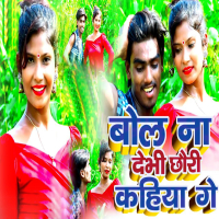 Bol Na Debhi Chhori Kahiya Ge (Single)