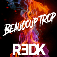 Beaucoup trop (Single)