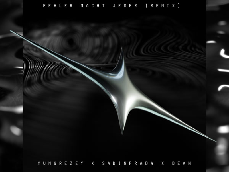 Fehler macht jeder (Remix) (Single)