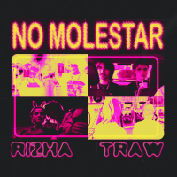 NO MOLESTAR (Single)