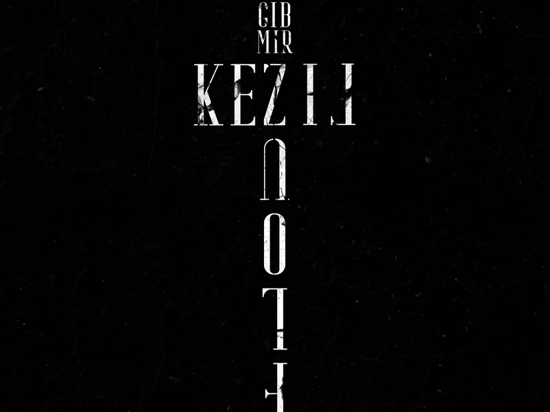 Gib mir Flouz (Single)