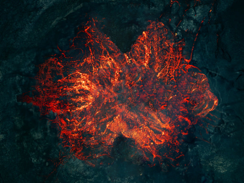 Losing Control (Single)