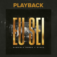 Eu Sei (Playback) (Single)