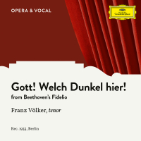 Beethoven: Fidelio, Op. 72: Gott, welch' Dunkel hier (Single)