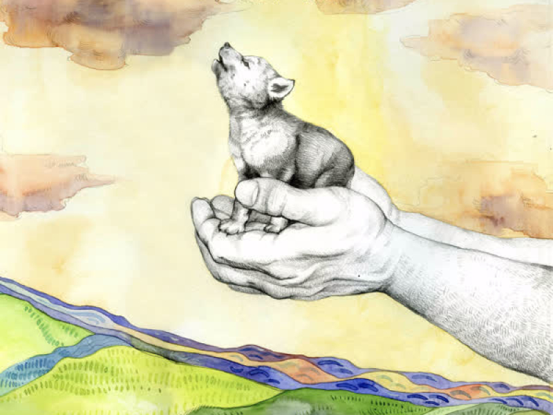 Music of Quiet Contemplation (EP)