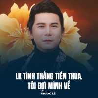 LK Tình Thắng Tiền Thua, Tôi Đợi Mình Về (Single)