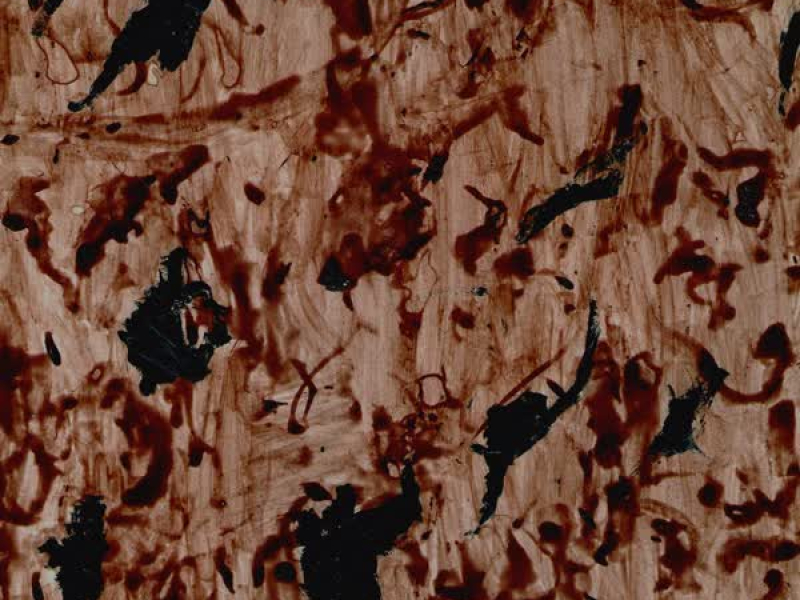 LA BIBLIA DEL ANARQUISTA PARA COLOREAR (Single)