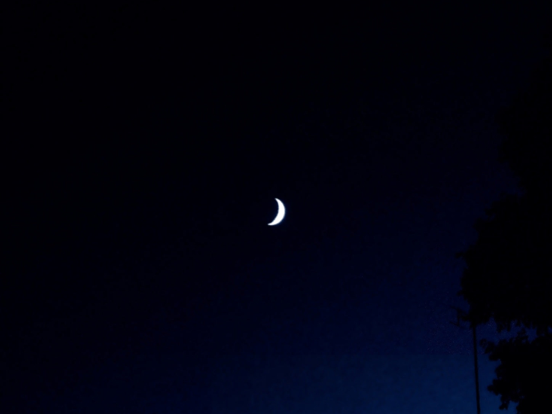 daydreaming (Single)