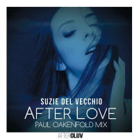 After Love (Paul Oakenfold Mix)