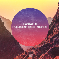 I Wanna Dance With Somebody (Who Loves Me) (Single)