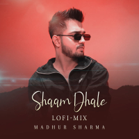 Shaam Dhale (Lofi Mix) (Single)