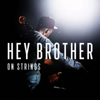 Hey Brother (Single)