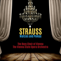 Strauss Waltzes and Polkas