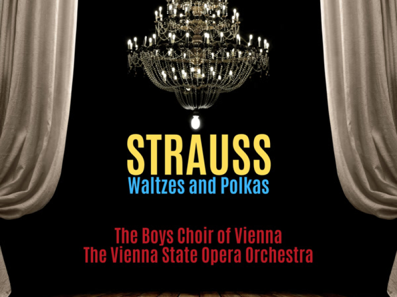 Strauss Waltzes and Polkas