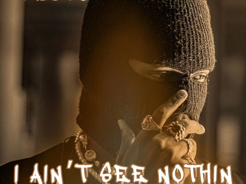 I Ain't See Nothin (Single)