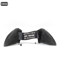 Lost Fortune (Single)