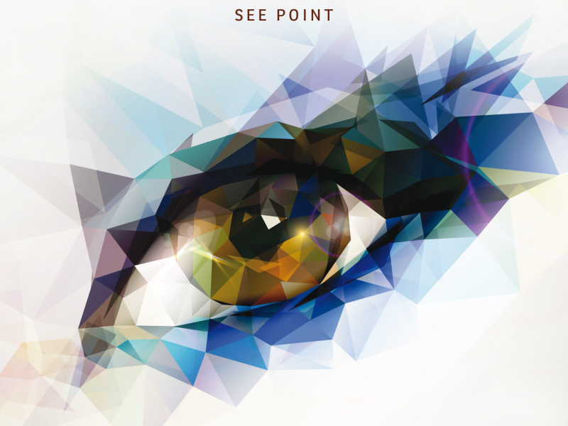 See Point (Single)
