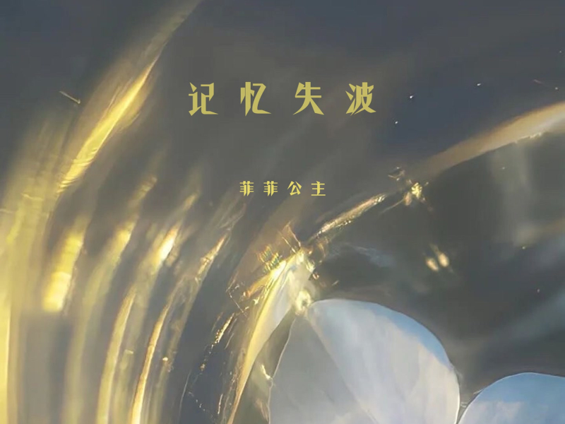 记忆失波 (Single)