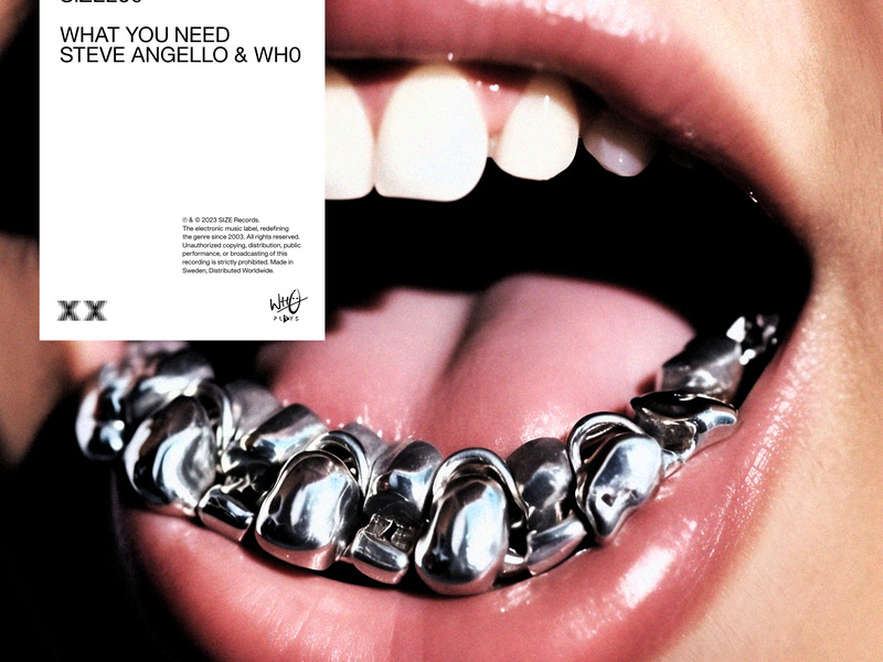 What You Need (Single)